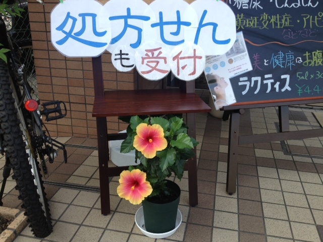ハイビスカス2