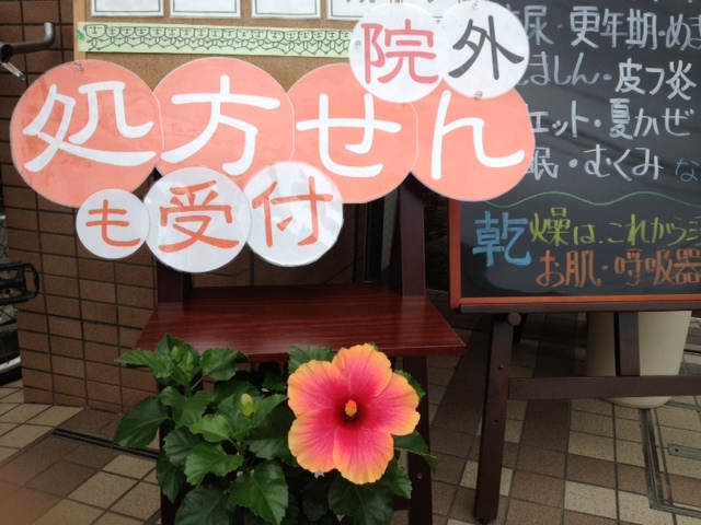 ハイビスカス