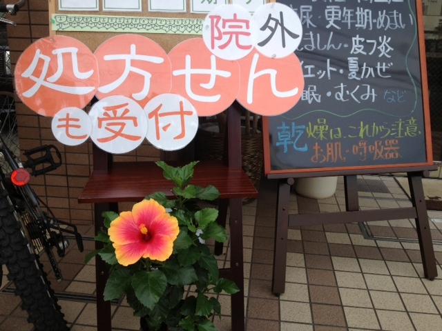 ハイビスカス