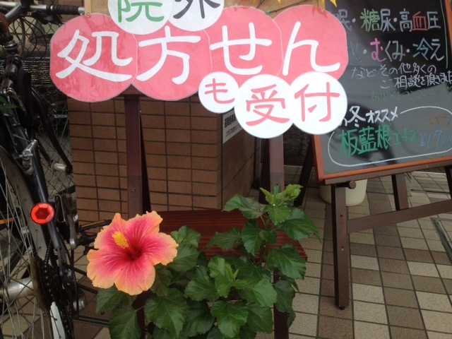 ハイビスカス ハイビスカス