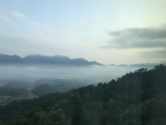 雲海