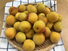かんじゅくうめ