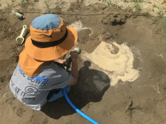 水やり