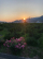 夕方散歩
