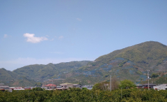 有田川町ポッポ道