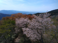 金剛山の景色