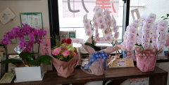 10周年