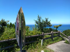 高津子山ﾊｲｷﾝｸﾞ