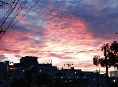 8月の写真