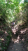 大和葛城山　北尾根コース