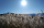 生石高原
