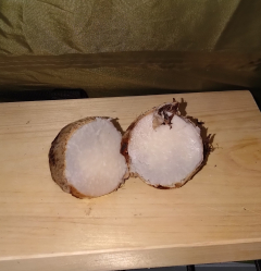 焼き芋