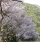 百間山渓谷