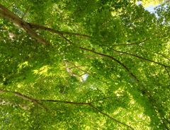 ヤマセミ温泉キャンプ場