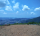 鷲ヶ峰コスモスパーク