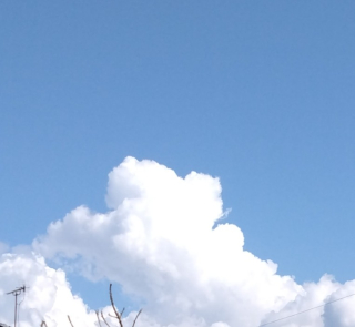 名草山登山