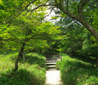 大台ヶ原山行