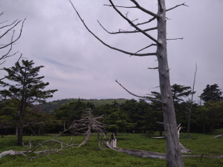 大台ヶ原山行