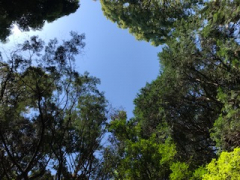 天空のワイルドキャンプ山２