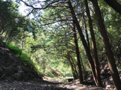 天空のワイルドキャンプ山１