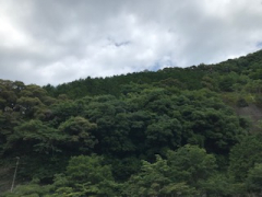 こんな山