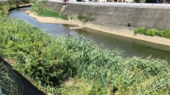 サイクリング湯浅