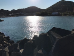 海辺のコーヒータイム