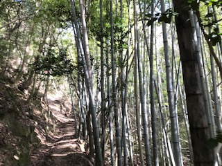 名草山を登って