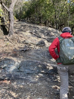 名草山登山