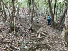 真妻山　登山