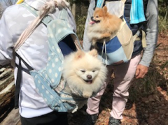 二上山登山